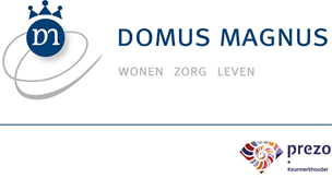 logo Domus Magnus