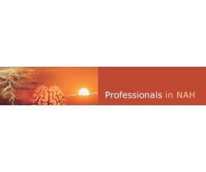 Professionals in NAH